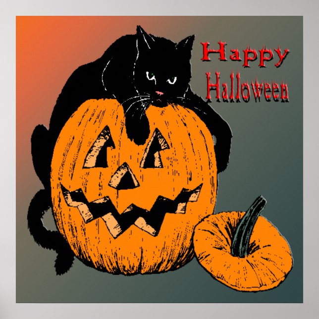 Poster du Citrouille de chat noir (Devant)