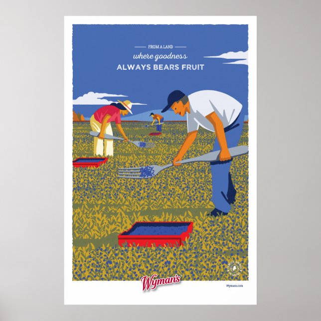 Poster du classement WBB (Devant)