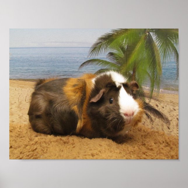 Poster du cochon de Guinée sous un palmier (Devant)