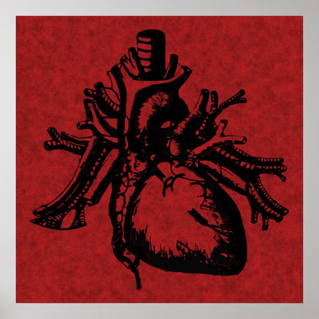 Poster du coeur humain (Devant)