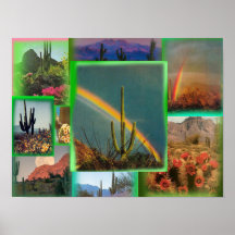 Poster du collage du film Cactus