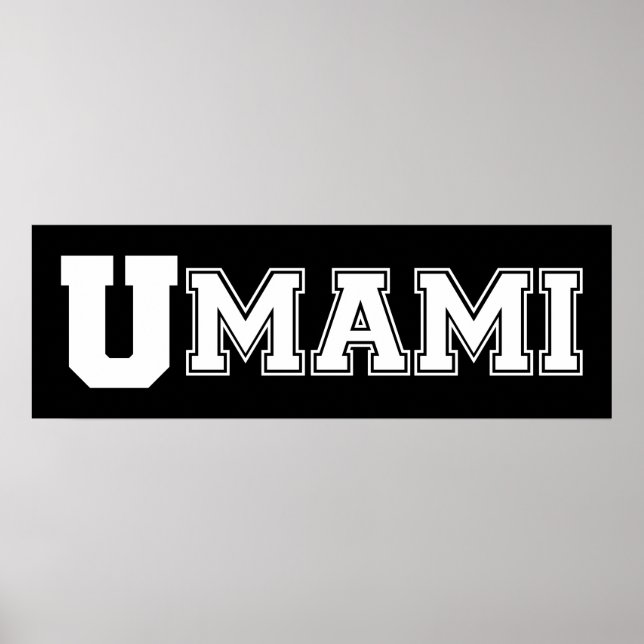 POSTER DU COLLÈGE UMAMI (Devant)