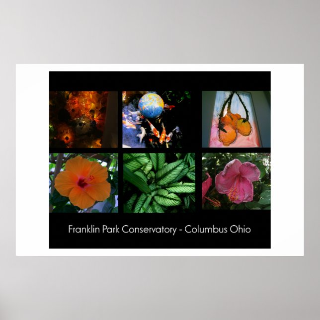 Poster du conservatoire de Franklin Park (Devant)