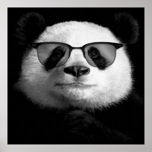 Poster du cool Panda Cute Panda Lover