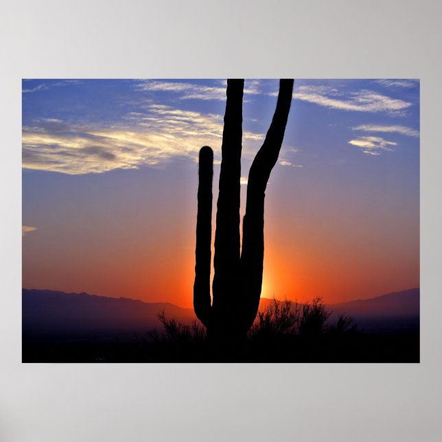 Poster du coucher de soleil de Cactus (Devant)