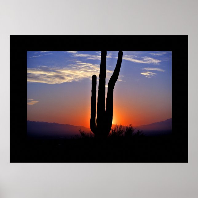 Poster du coucher de soleil de Cactus (Devant)