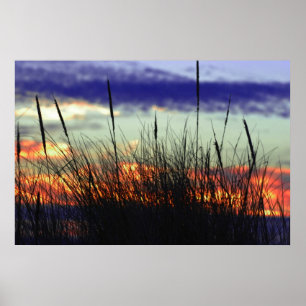 Poster du coucher de soleil du Marshland