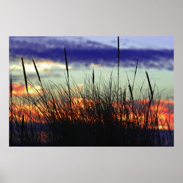Poster du coucher de soleil du Marshland (Devant)