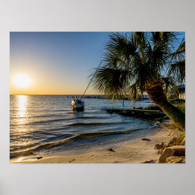 Poster du coucher de soleil sur palmier en Floride (Devant)