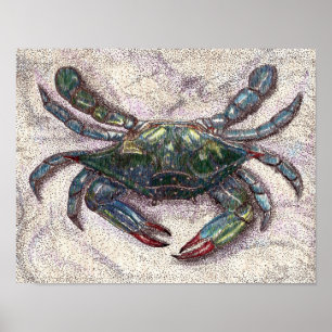 Poster du crabe bleu de la baie Chesapeake