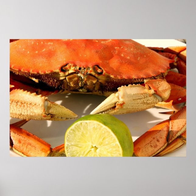 Poster du crabe de Dungeness (Devant)