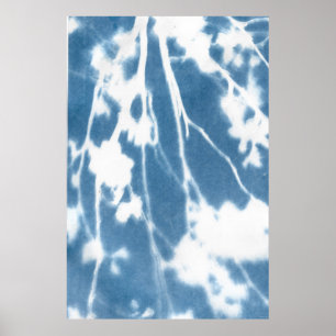 Poster du Cyanotype en fleurs de cerisier japonais