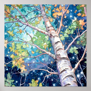 Poster du décor de la forêt de nuit