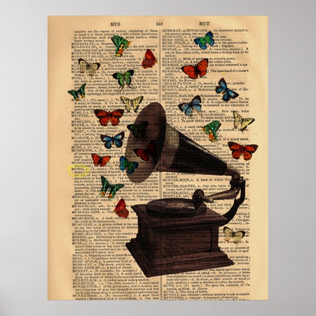 Poster du dictionnaire des papillons Victrola anti (Devant)