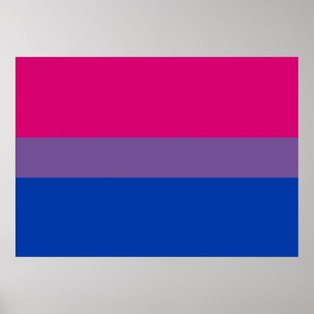 Poster du drapeau de la fierté bisexuelle (Devant)