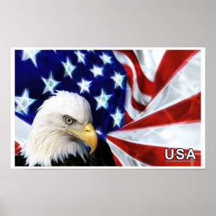 Poster du drapeau de l'aigle à tête blanche des Ét