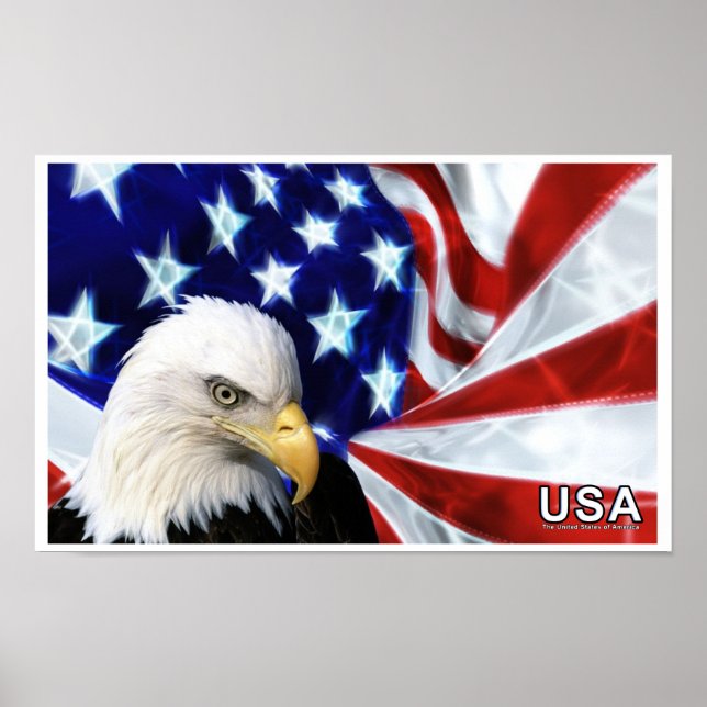 Poster du drapeau de l'aigle à tête blanche des Ét (Devant)