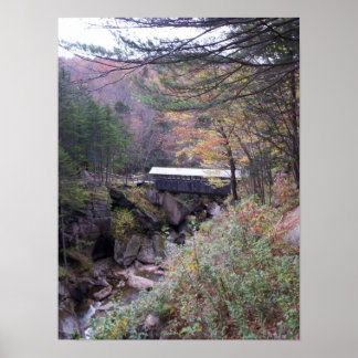 Poster du feuillage d'automne du pont Sentinel
