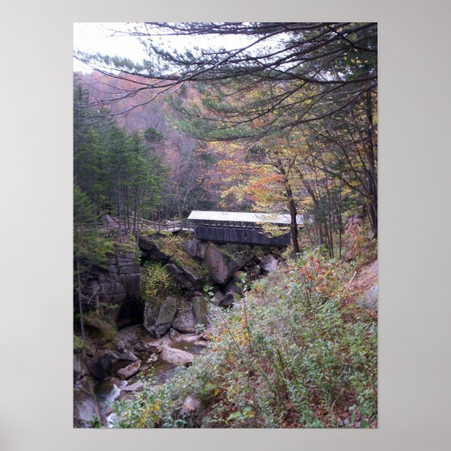 Poster du feuillage d'automne du pont Sentinel (Devant)