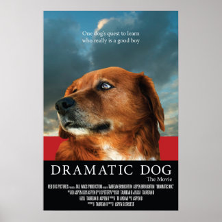 Poster du film "Dramatic Dog" Faux
