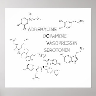 Poster du Geek d'amour de structure chimique