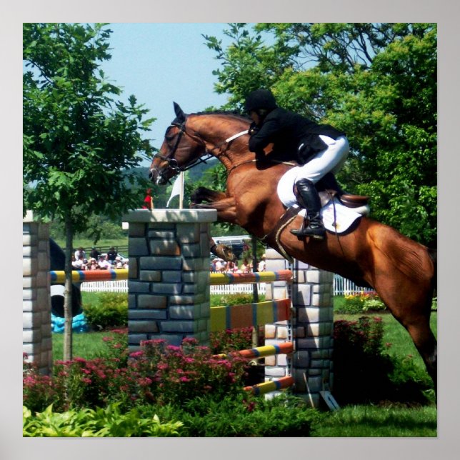 Poster du Grand Prix Horse (Devant)