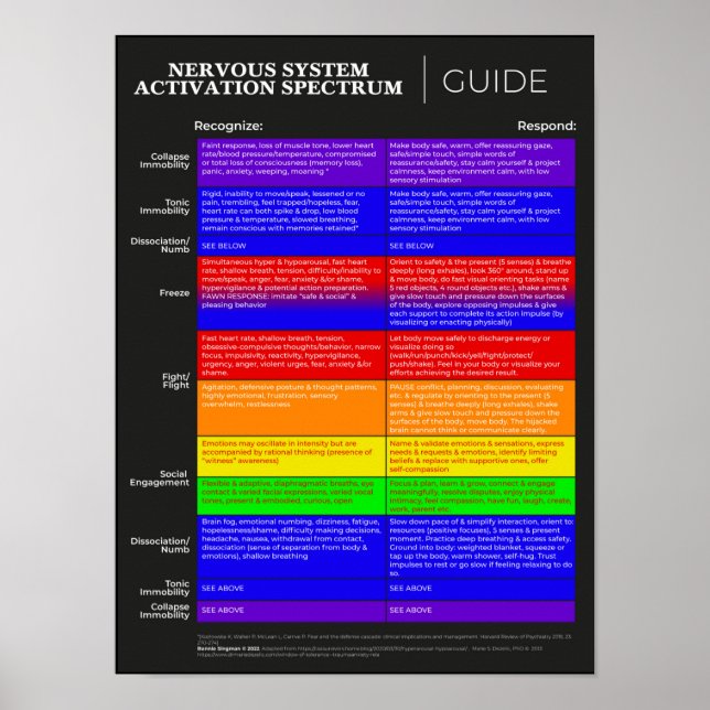 Poster du guide d'activation du spectre du système (Devant)