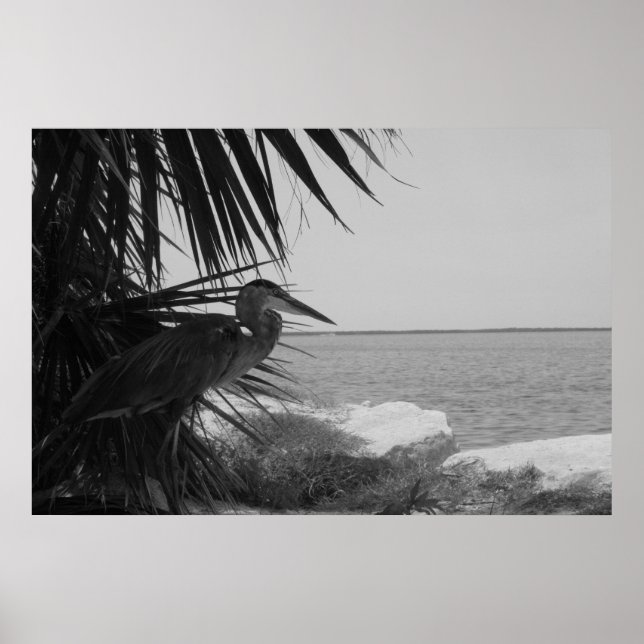 Poster du Héron bleu (Devant)