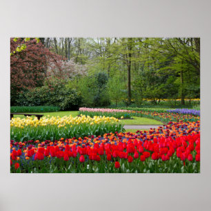 Poster du jardin