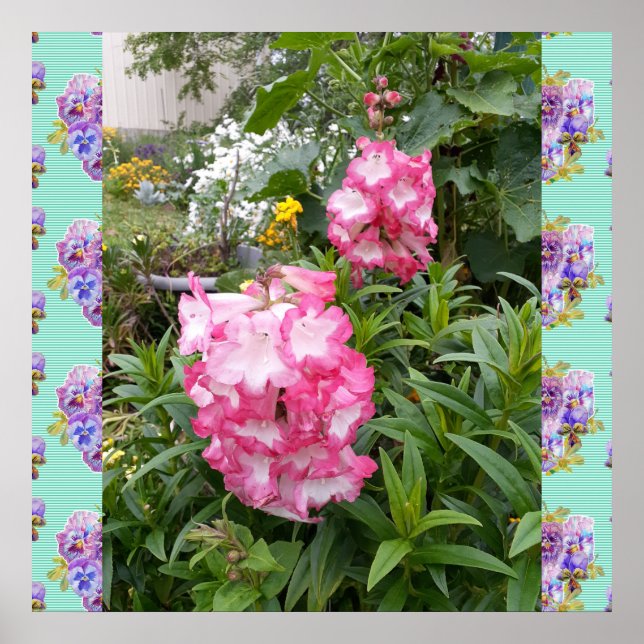 Poster du jardin de photos florales de fleurs rose (Devant)
