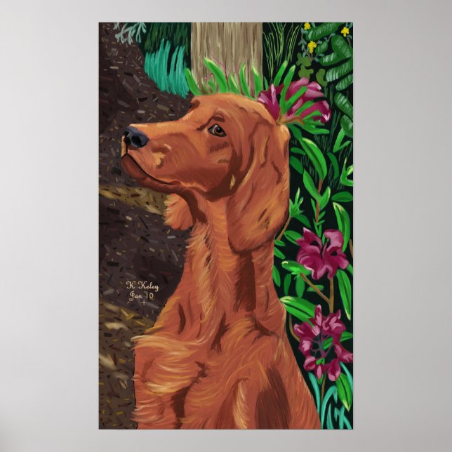 Poster du jardinet (Devant)