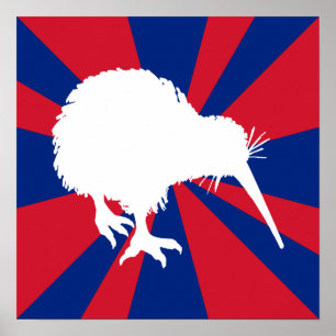 Poster du Kiwi blanc