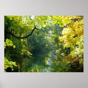 Poster du lac et des arbres