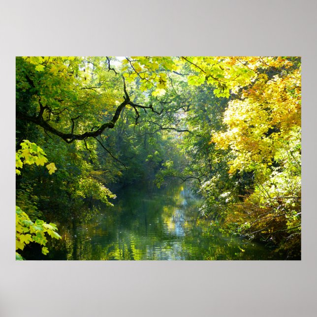 Poster du lac et des arbres (Devant)