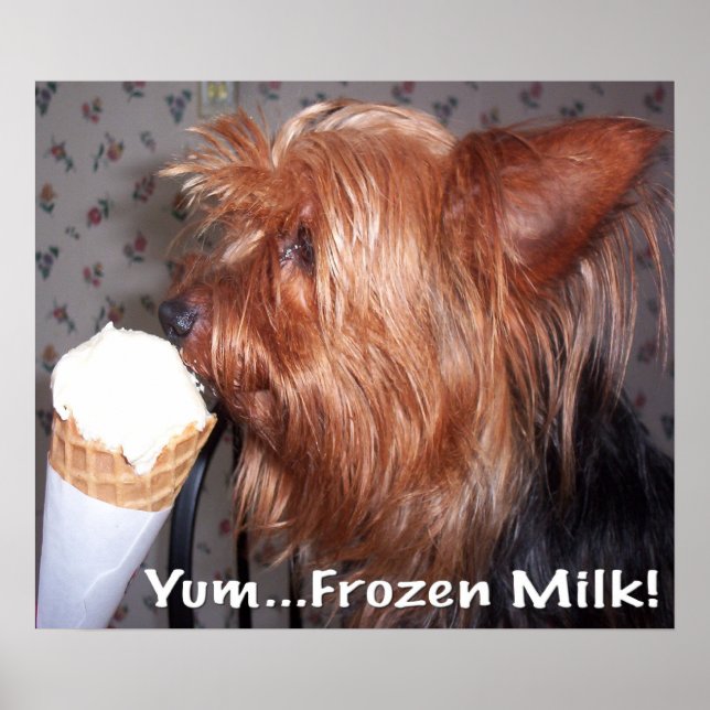 Poster Du lait congelé ! (Devant)