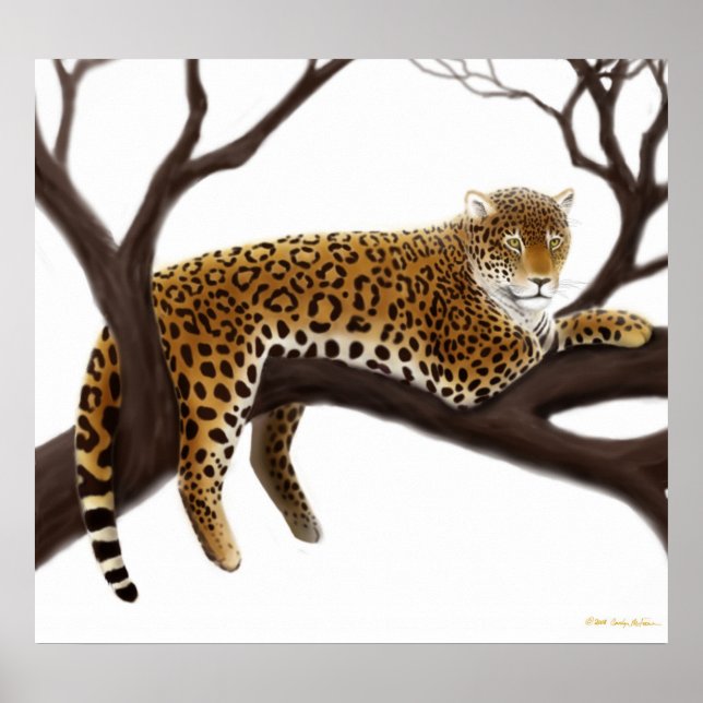 Poster du léopard africain (Devant)