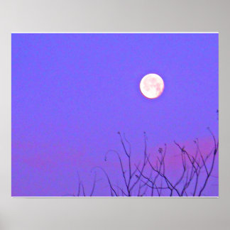 Poster du lever du soleil d'hiver du matin