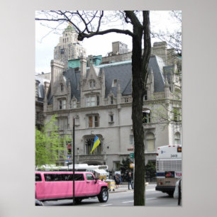 Poster du Limo rose