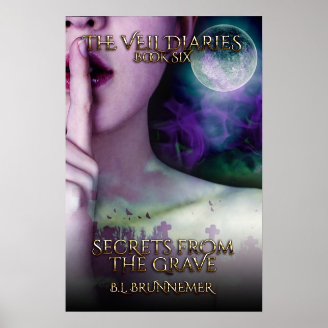 Poster du livre Veil Diaries Book VI (Devant)
