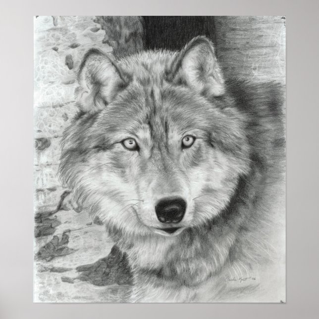 Poster du loup Watching Eyes (Devant)