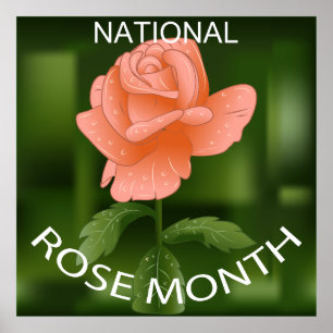 Poster du Mois Rose national