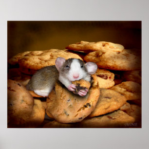 Poster du Monstre Cookies