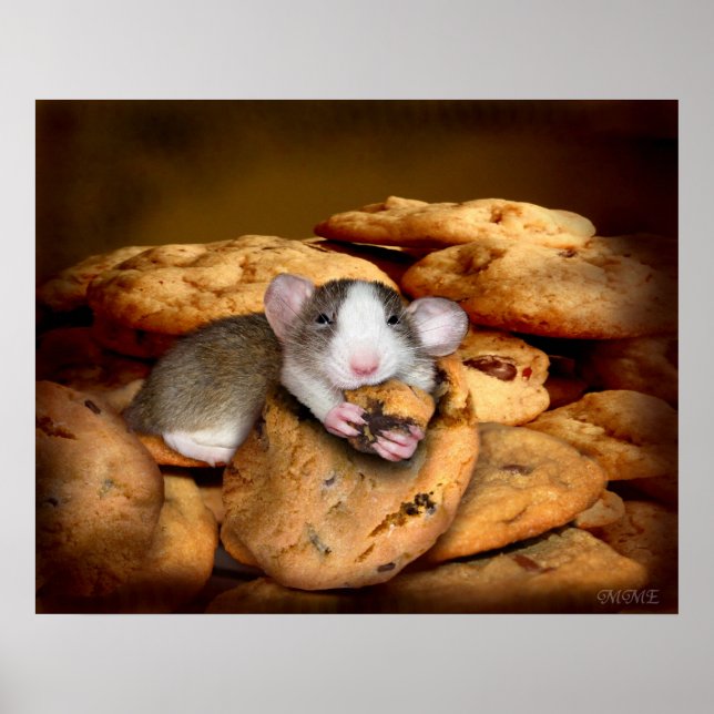 Poster du Monstre Cookies (Devant)