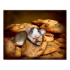 Poster du Monstre Cookies