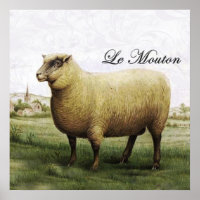 Poster du mouton