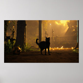 Poster du mur d'aquarelle de chat noir
