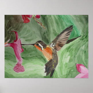 Poster du nectar des colibris