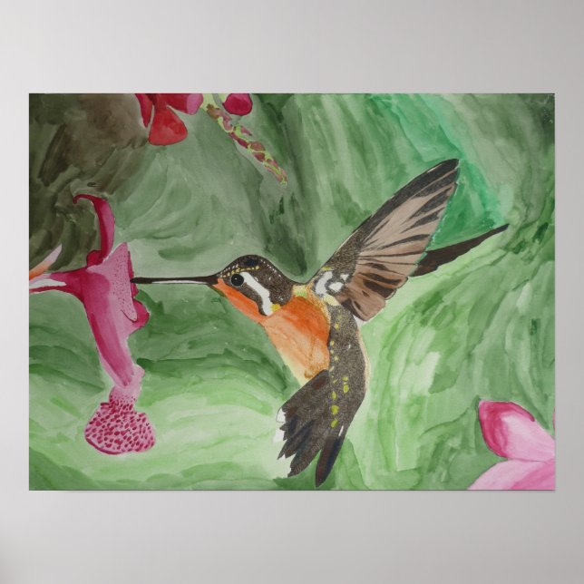 Poster du nectar des colibris (Devant)
