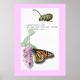 Poster du papillon Haiku