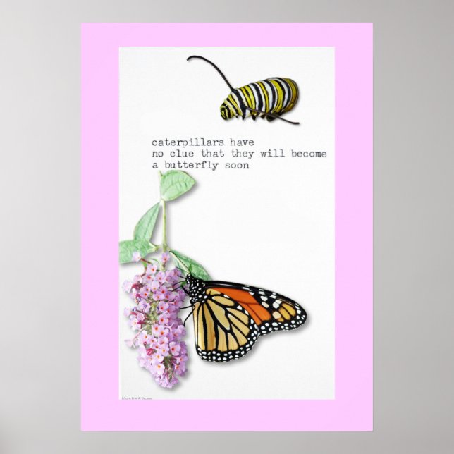 Poster du papillon Haiku (Devant)